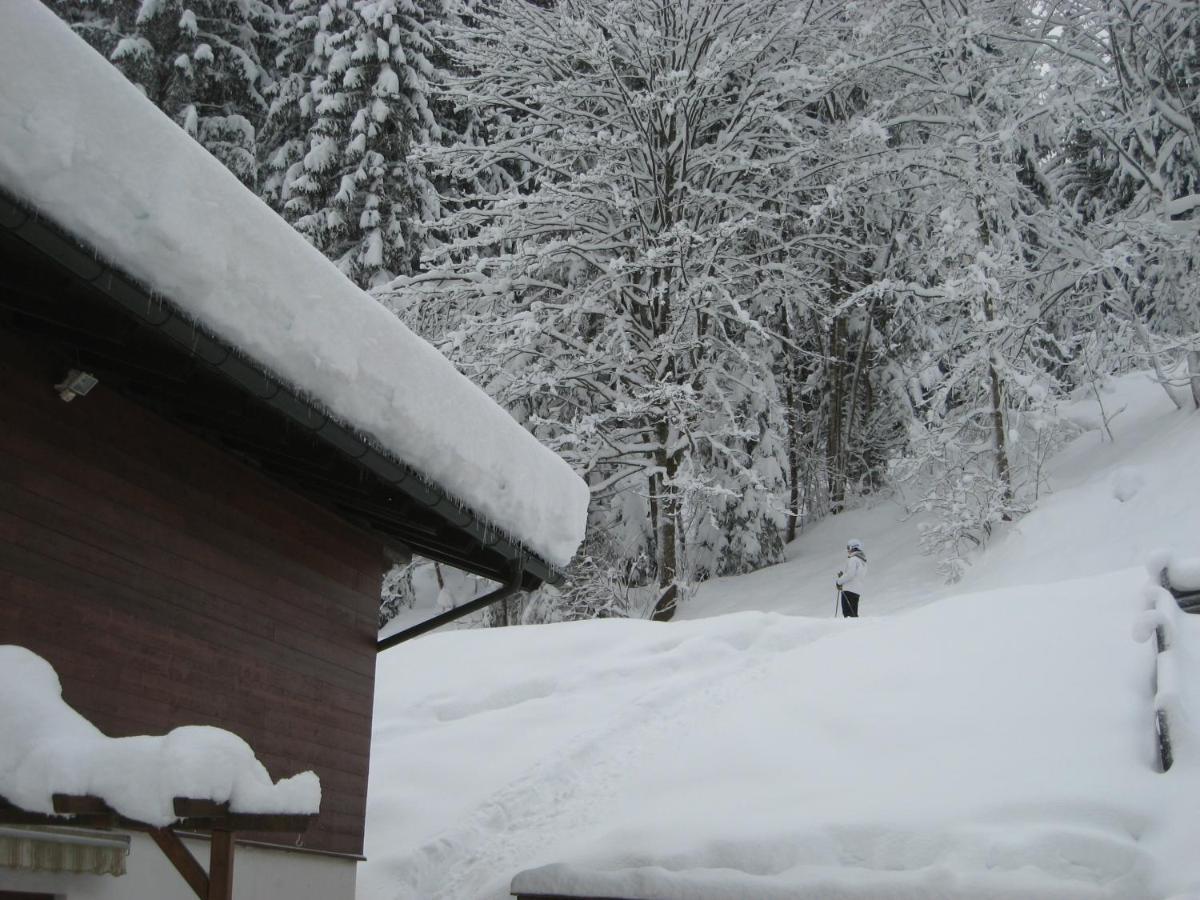Ski-In Ski-Out Chalet Kriekels - By Alpen Apartments Цел ам Зее Екстериор снимка