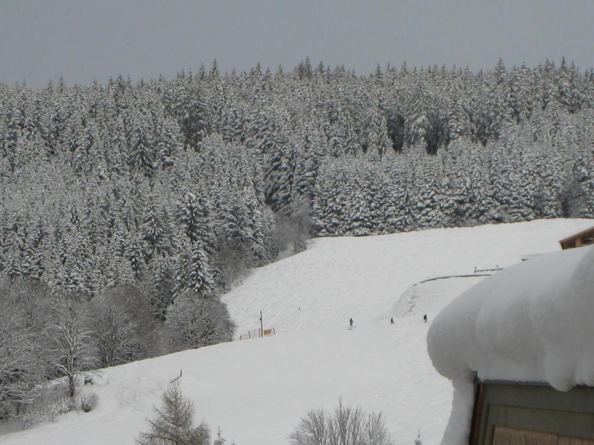 Ski-In Ski-Out Chalet Kriekels - By Alpen Apartments Цел ам Зее Екстериор снимка