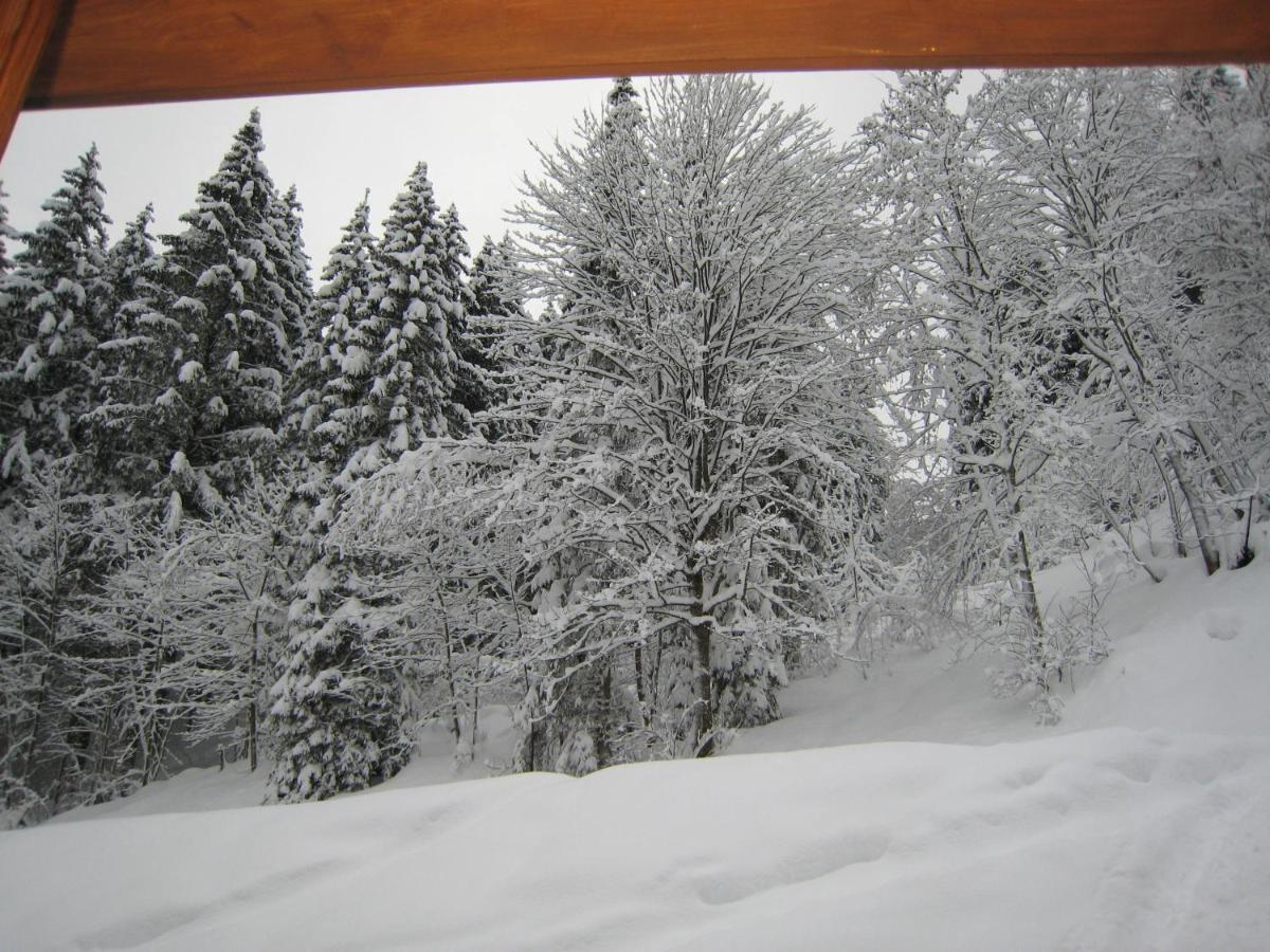 Ski-In Ski-Out Chalet Kriekels - By Alpen Apartments Цел ам Зее Екстериор снимка